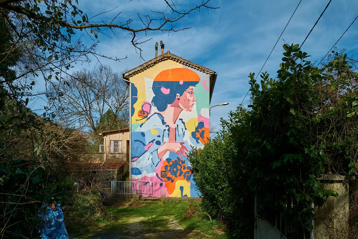 Histoires Anciennes - Zeklo 1 Originaire des Cévennes et ayant passer toute son enfance et adolescence à Bessèges, Zeklo s'est souvenu de motifs de fleurs de pommes de terre que l'on retrouvent sur de vieilles assiettes cévenoles, pour en faire la publicité ! Ce sont ces fleurs que l'on retrouve derrière ce portrait de femme, spécialité de l'artiste.