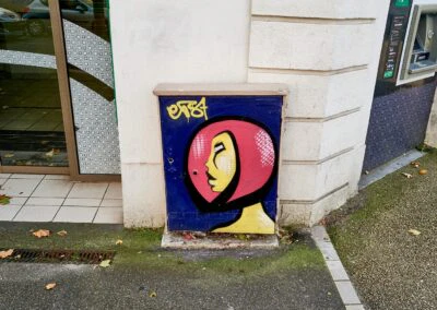 Portrait de femme peinte sur ce coffret Telecom en 4 couleurs (quartier St Esprit