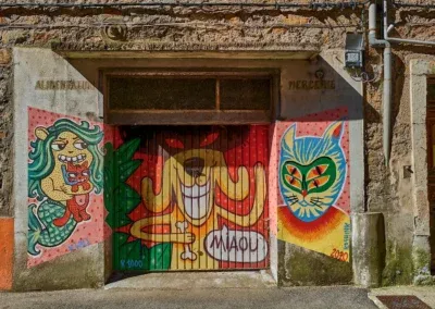 Street Art en Cévennes 23 Porte de garage en peinture urbaine : artiste = K1000 Virgine Will Kashink (Rue Victor Hugo)