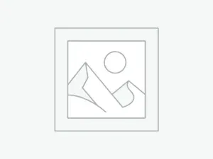 woocommerce placeholder